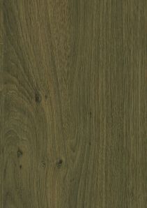 RENOLIT EXOFOL Roburn Oak 